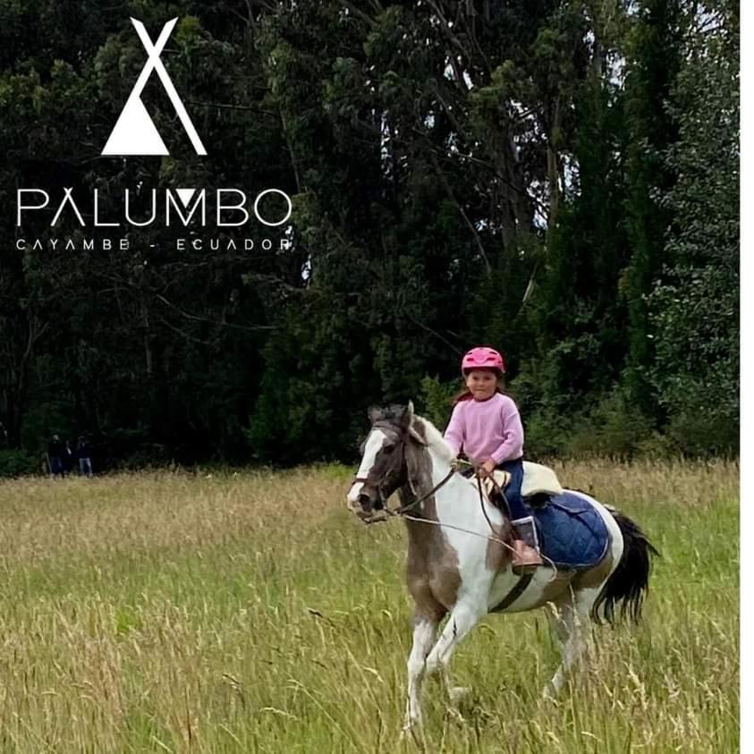 Palumbo Glamping & Villas Cayambe Exterior foto