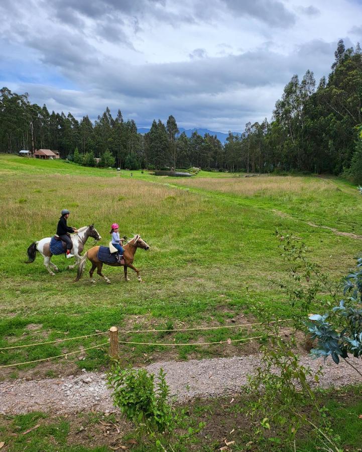 Palumbo Glamping & Villas Cayambe Exterior foto